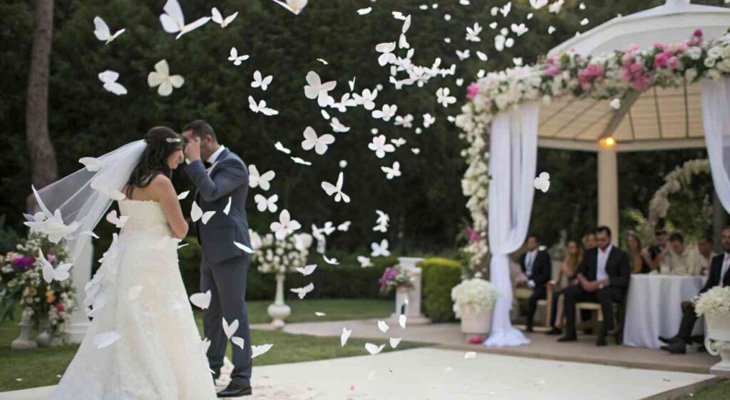 renta de equipo para bodas